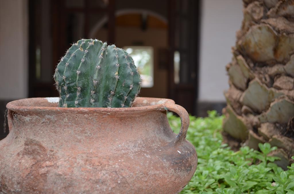 Finca El Carmen Angastaco Екстериор снимка