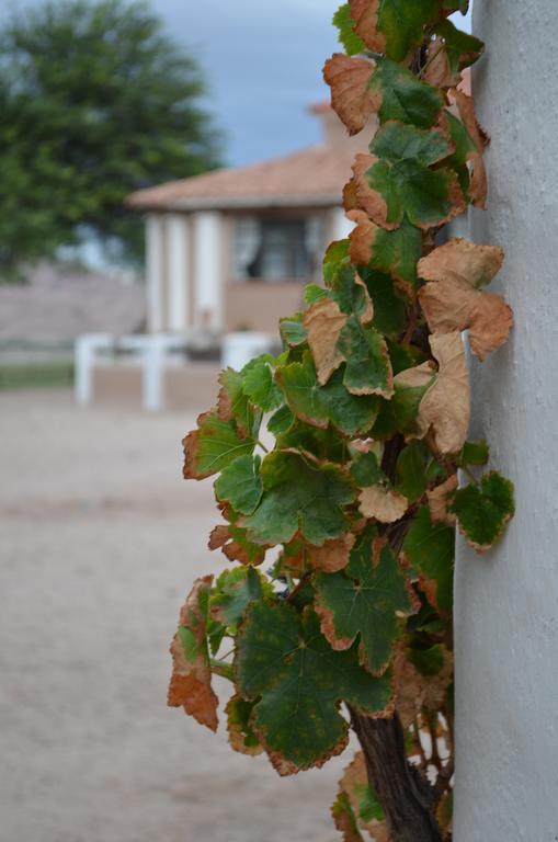Finca El Carmen Angastaco Екстериор снимка