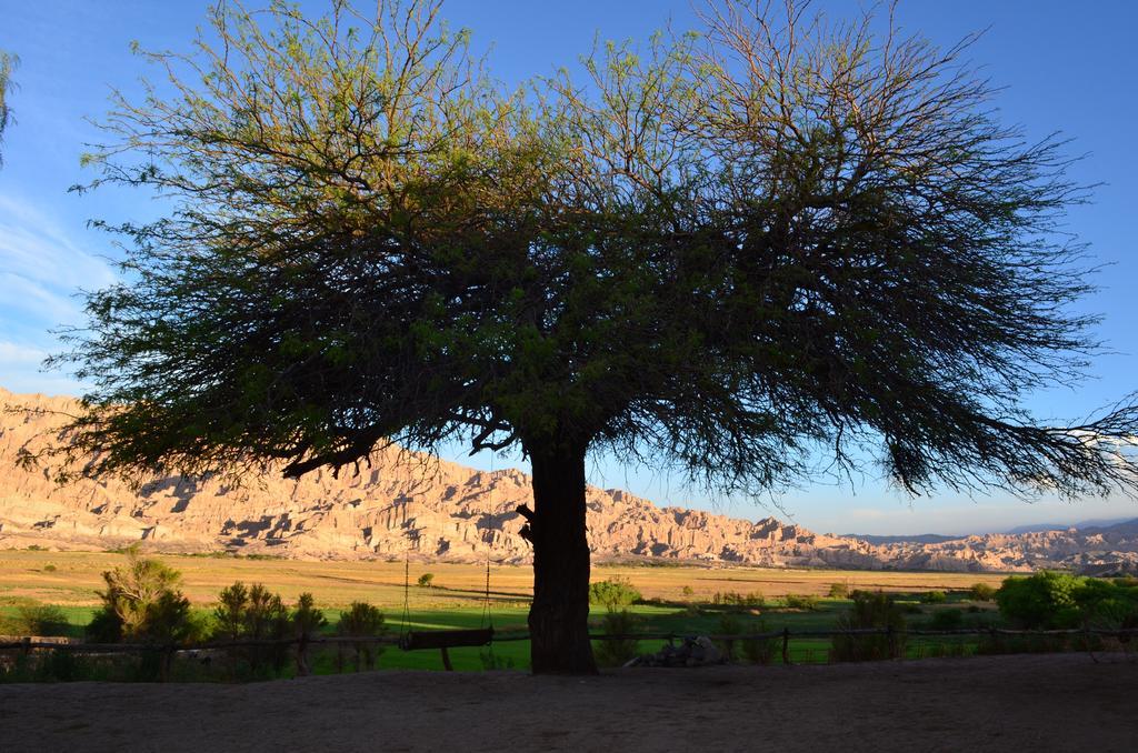 Finca El Carmen Angastaco Екстериор снимка